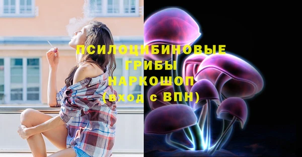 твердый Магас