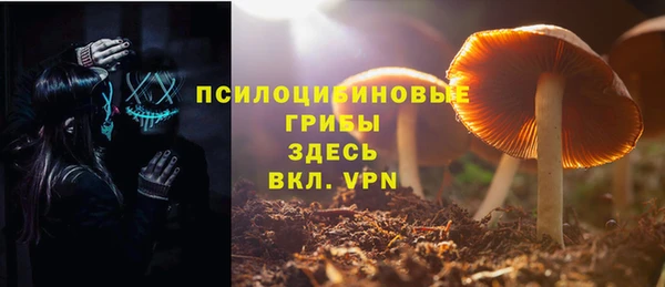твердый Магас