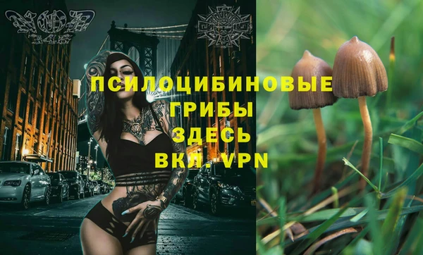 не бодяженный Магадан